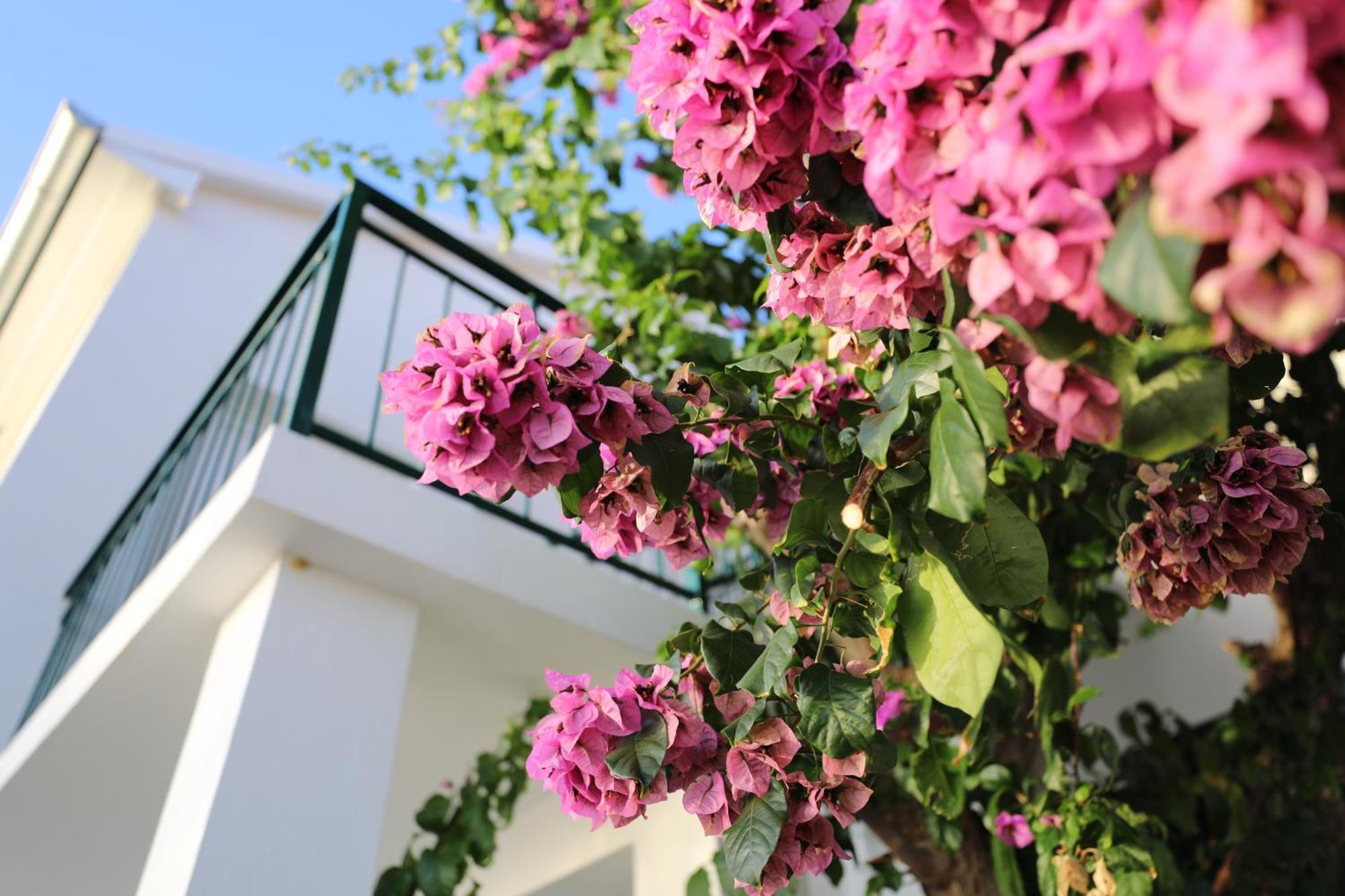 Haus Am Ferienhaus Brist
